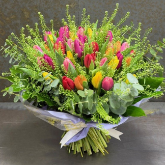 RAMO DE 50 TULIPANES VARIADOS